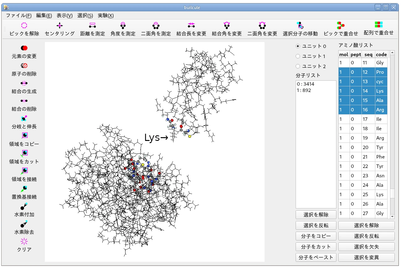 トリプシン-ビクニンの反応部位
