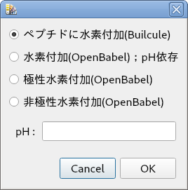 水素付加のオプション