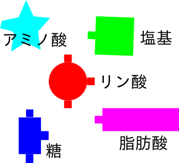 ビルディングブロックの模式図