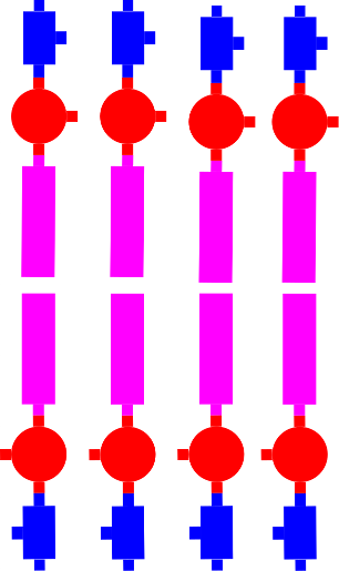 プロトリン脂質による二重層