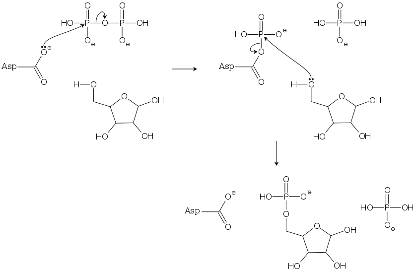 キナーゼ様反応