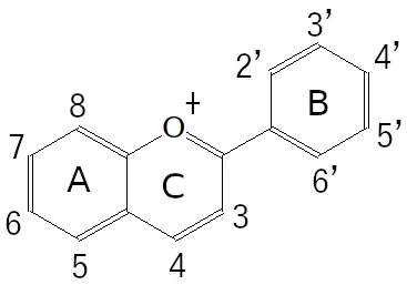 フラビリウムカチオンの構造式