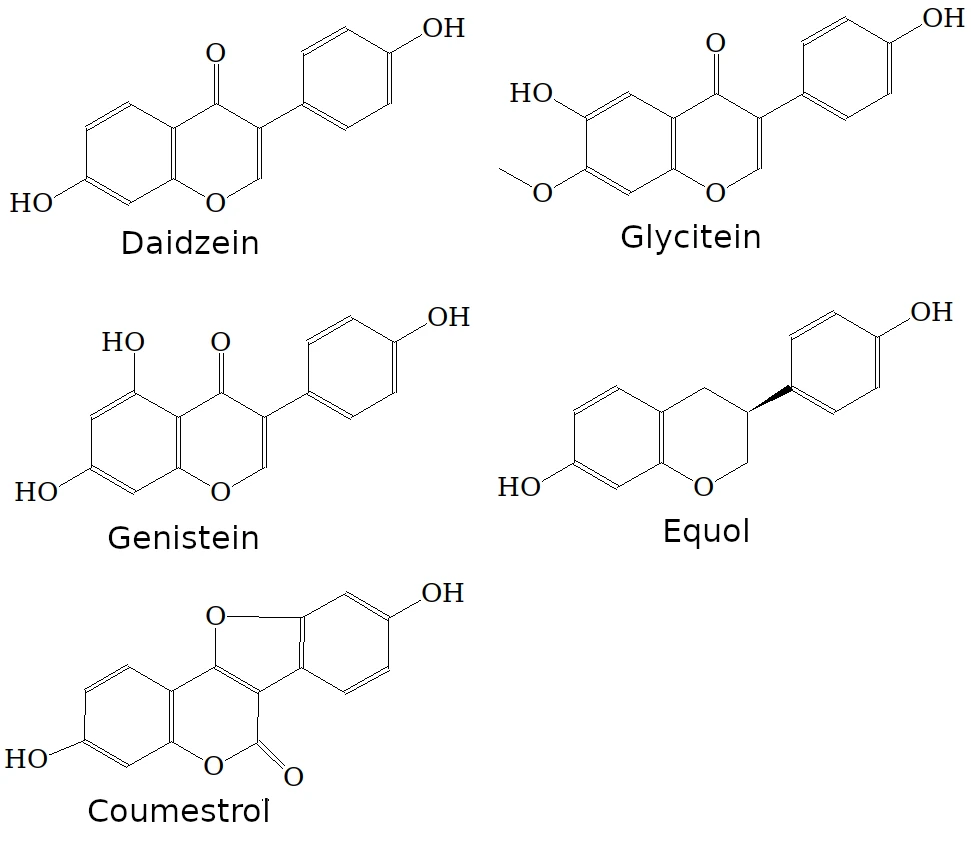 イソフラボンの構造式