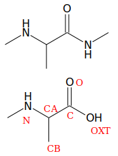 ペプチドを構成する原子の略号（一部）