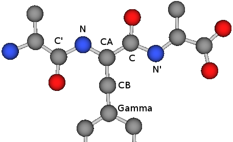 ポリペプチドの模式図
