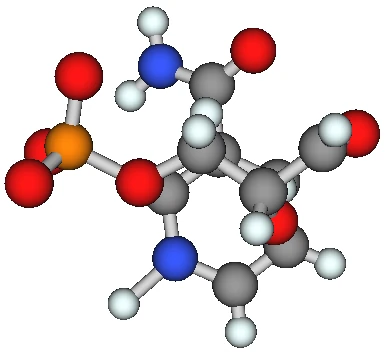 ニコチンアミドとグリセルアルデヒド 3-リン酸の位置関係
