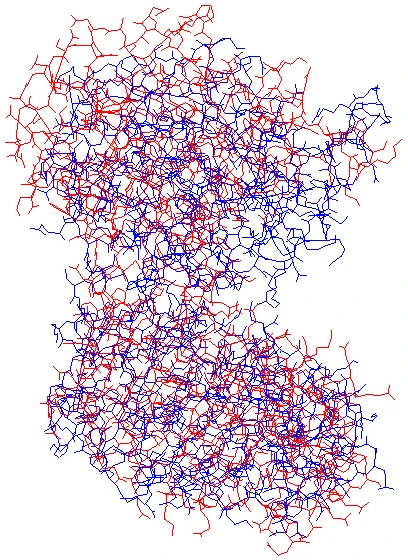 2PAA と 13PK を重ね合わせたようす