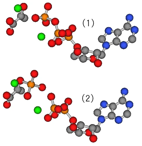 反応モデルの構造