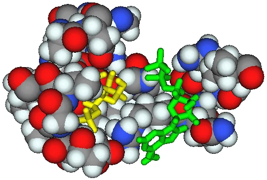 1U9Z 基質周辺のアミノ酸残基